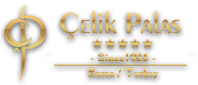 Çelik Palas